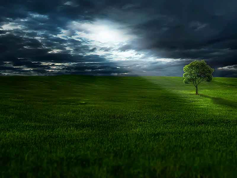 medio-ambiente-03